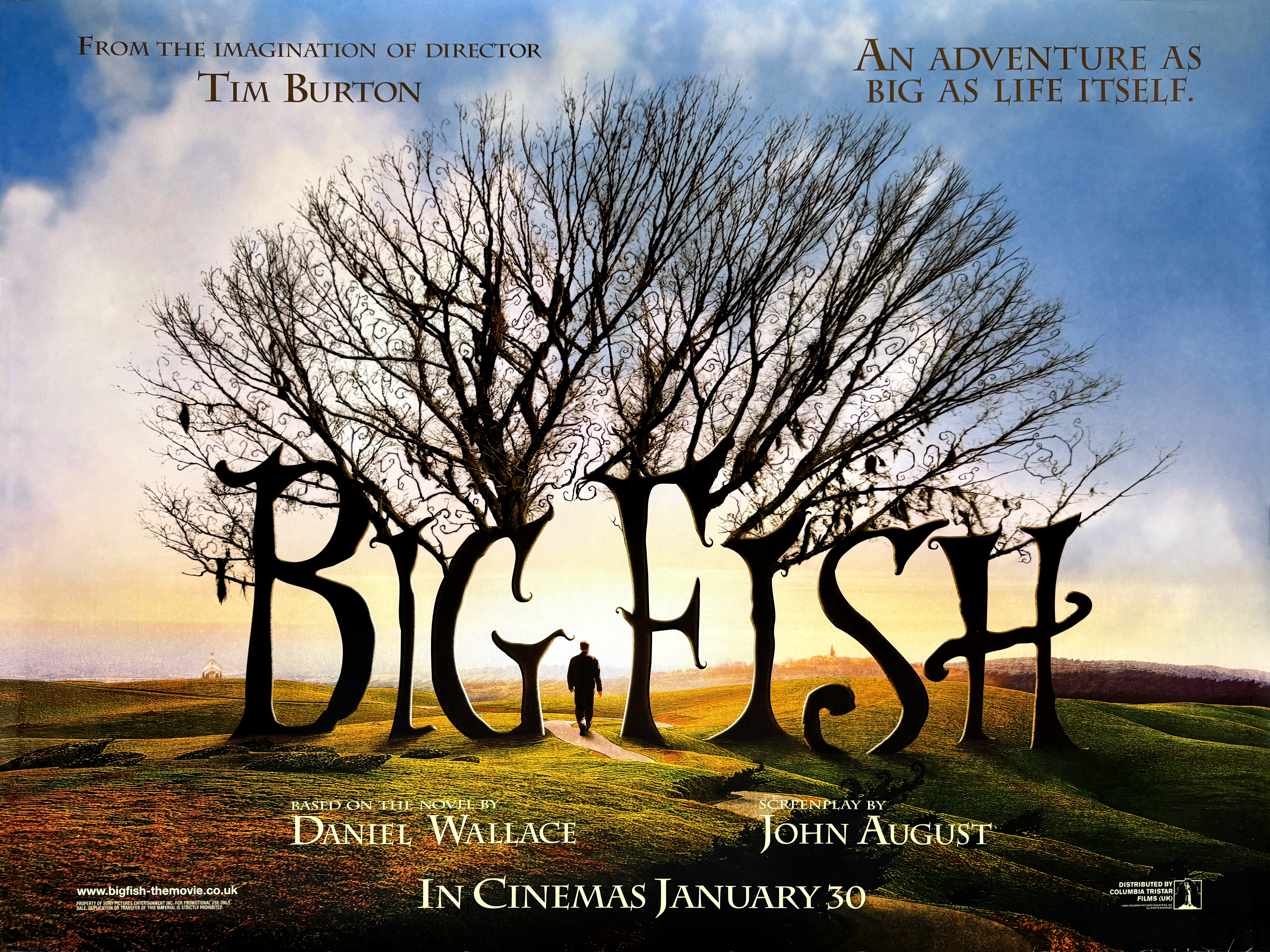 Big Fish quad poster