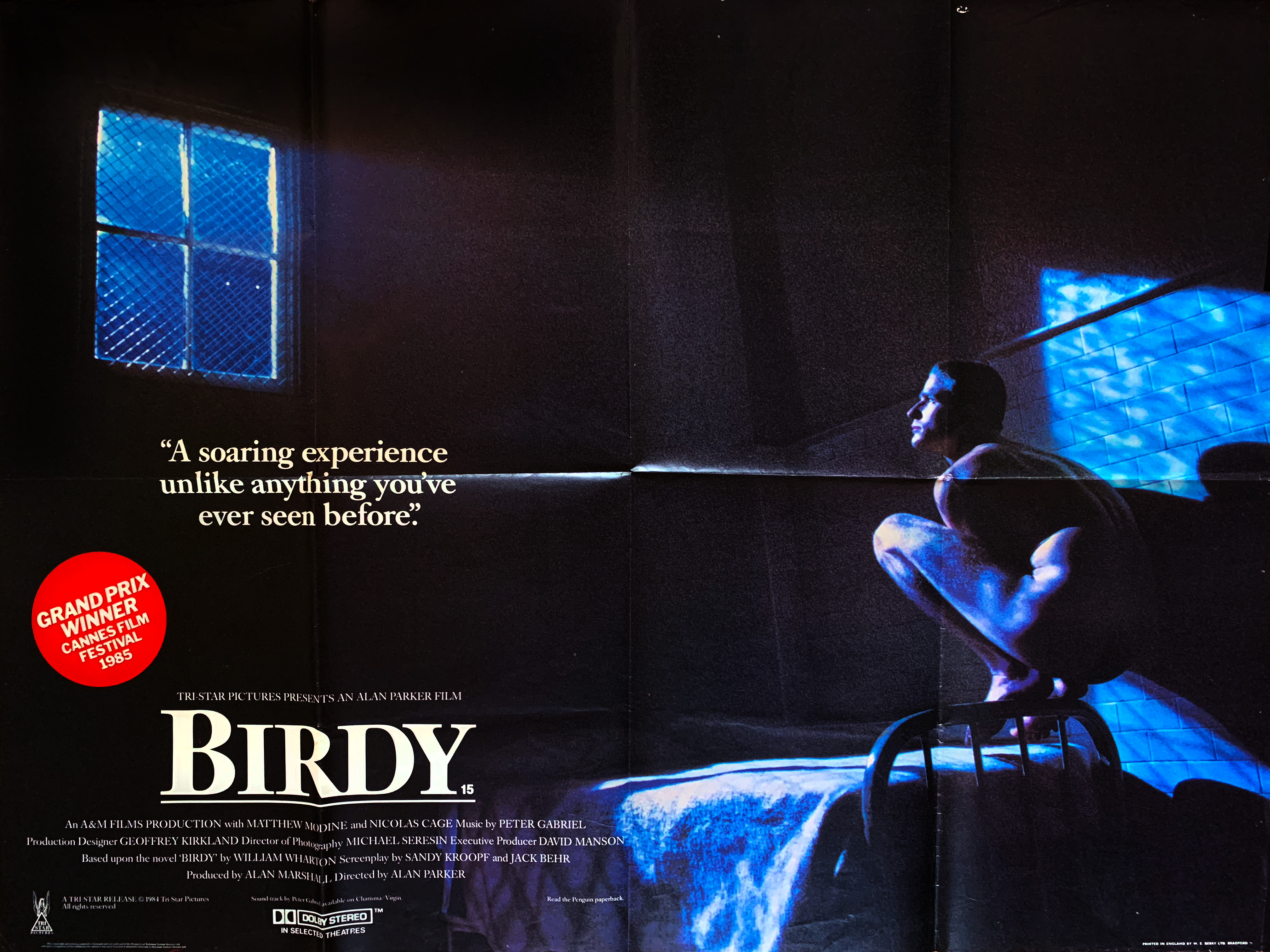 Birdy movie quad poster